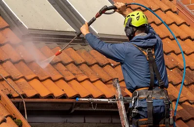 Démoussage et hydrofuge de toiture à Chalais
